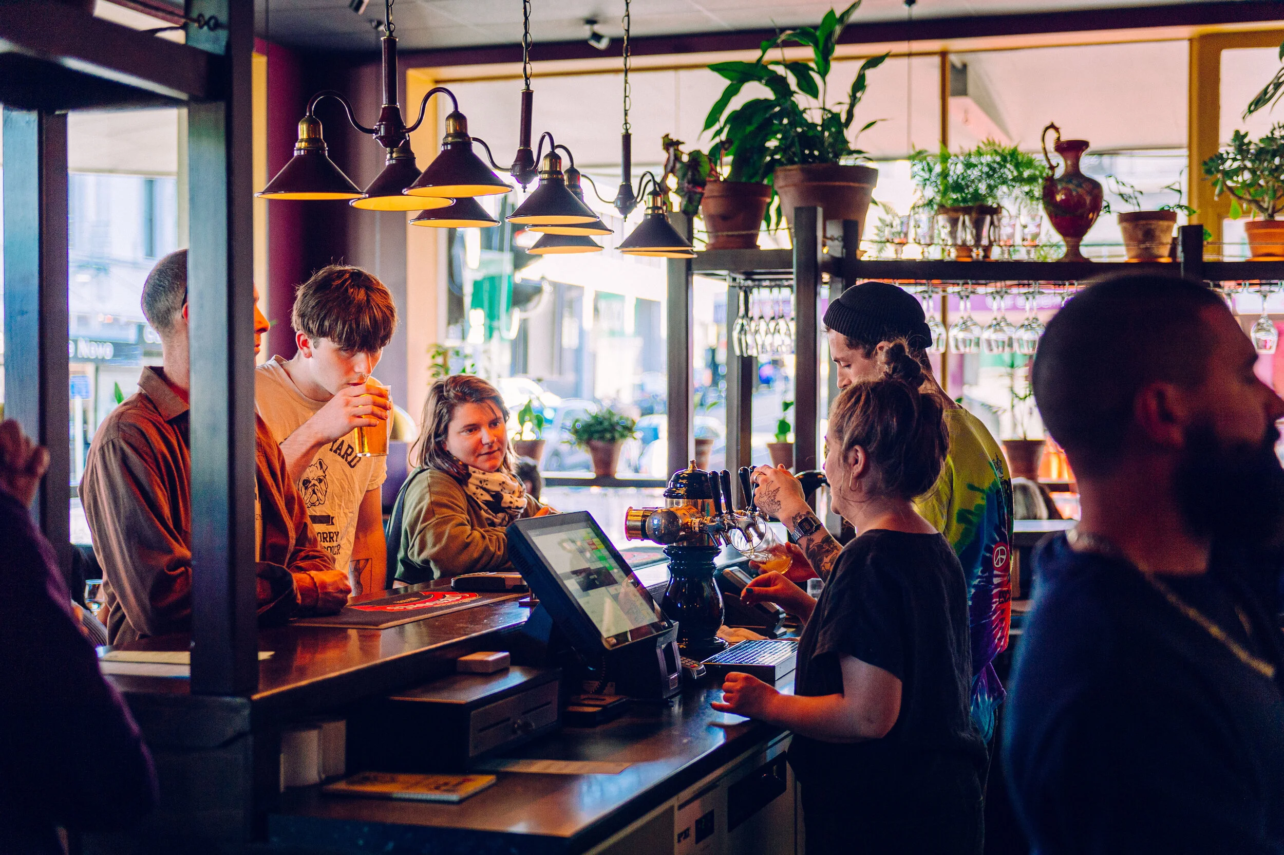 KINOKO HOMES Woof Bar1.jpeg