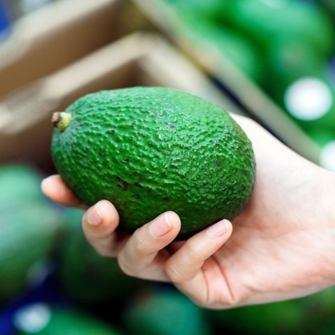 Careers — Warner's