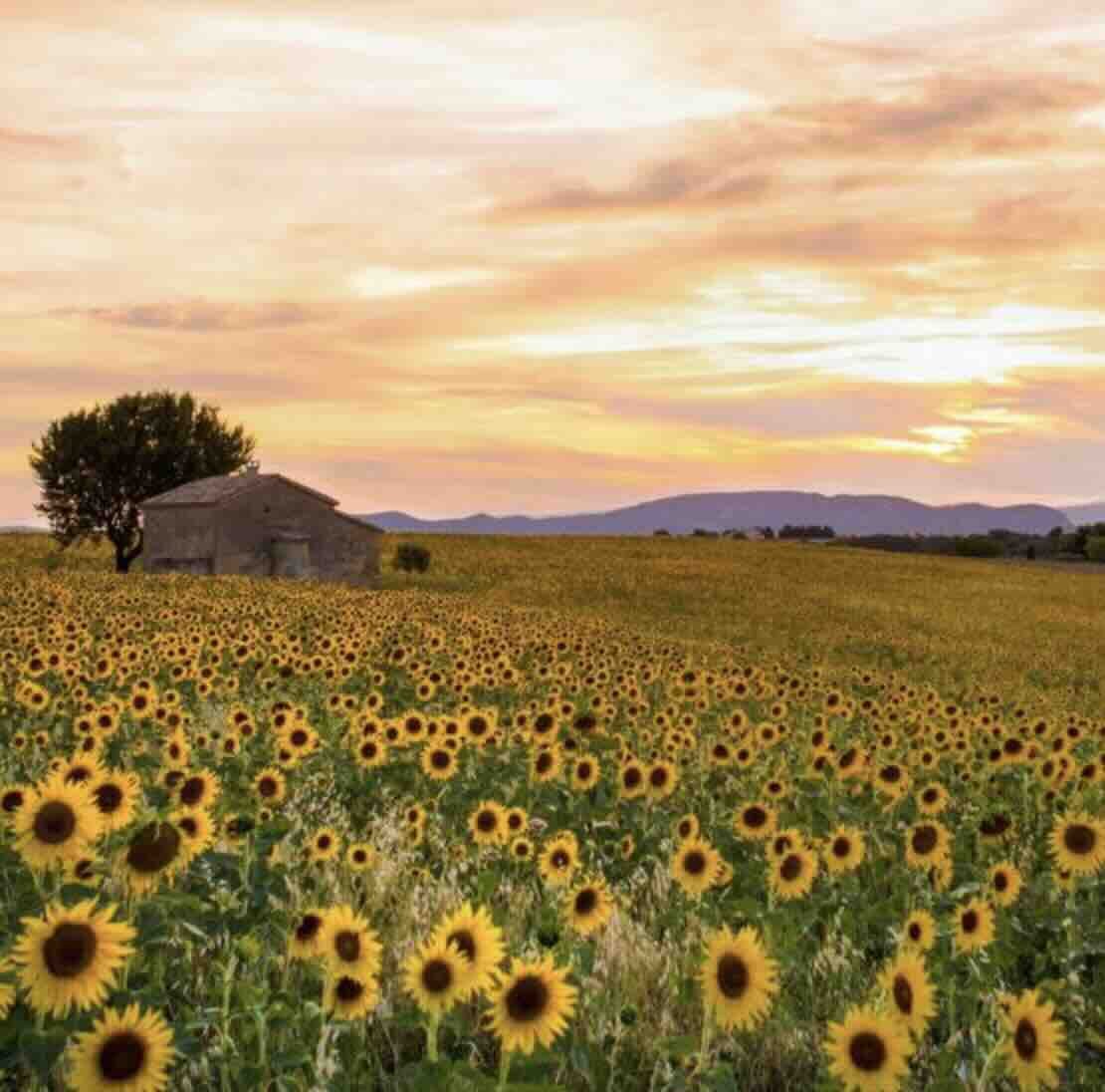estate ayurveda stagione
