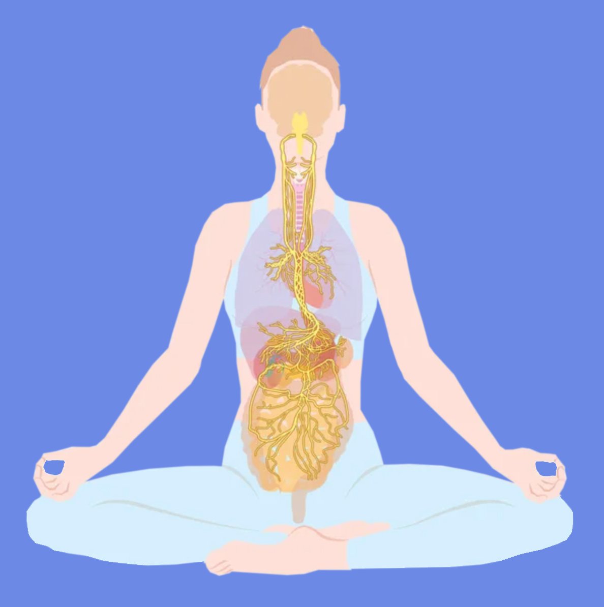 nervo vago esercizi ayurveda massaggio locarno