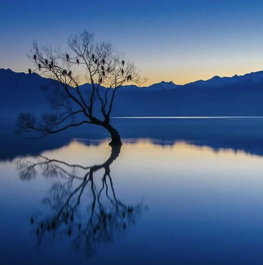 silenzio ayurveda yoga respirazione classi locarno