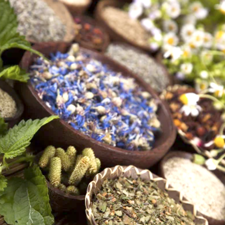 piante medicinali ayurvediche ansia vata dosha