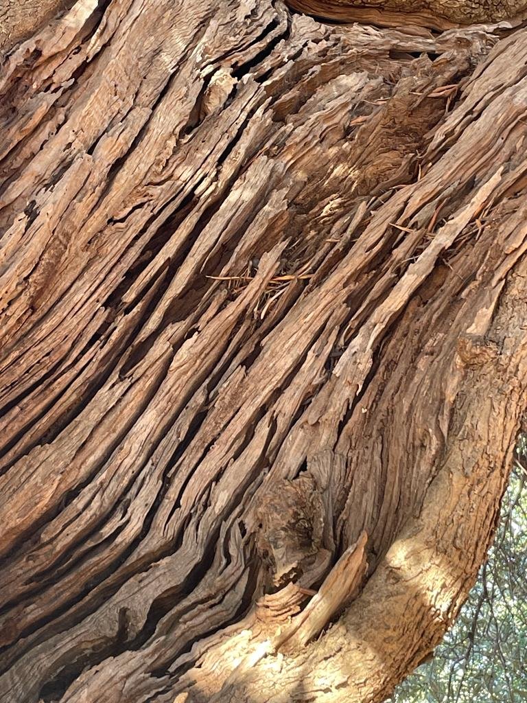 WhatsApp Image 2022-07-22 at 14.35.35 (1).jpeg