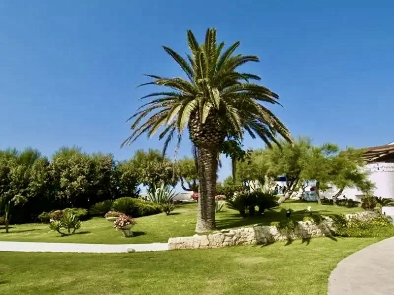 hotel-lido-torre-egnazia-19.jpeg