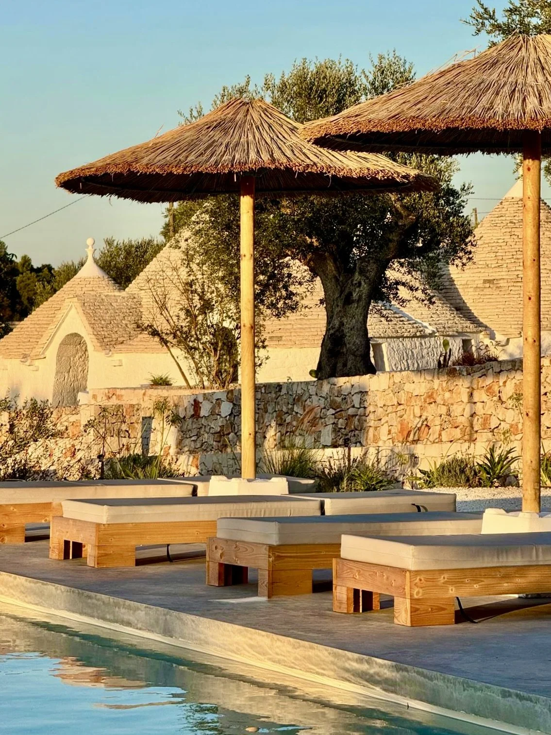 WhatsApp Image 2026-04-25 at 07.54.07.jpeg