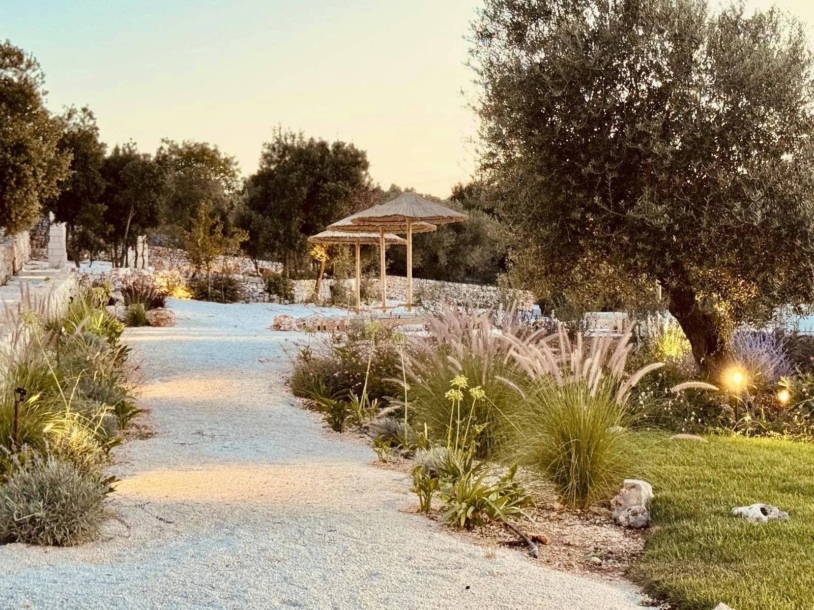 WhatsApp Image 2026-04-25 at 07.54.11 (4).jpeg