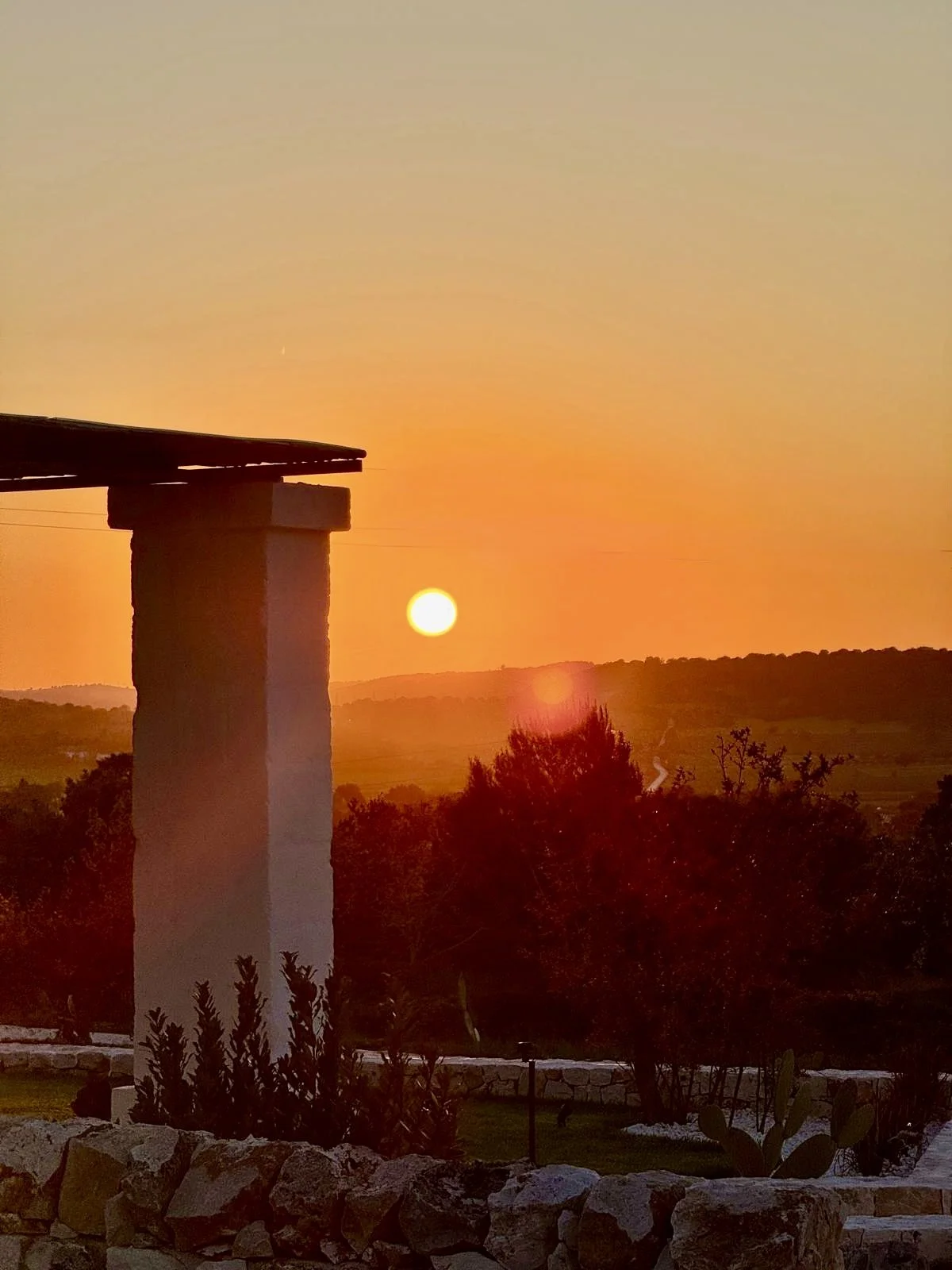 WhatsApp Image 2026-04-25 at 08.13.37.jpeg