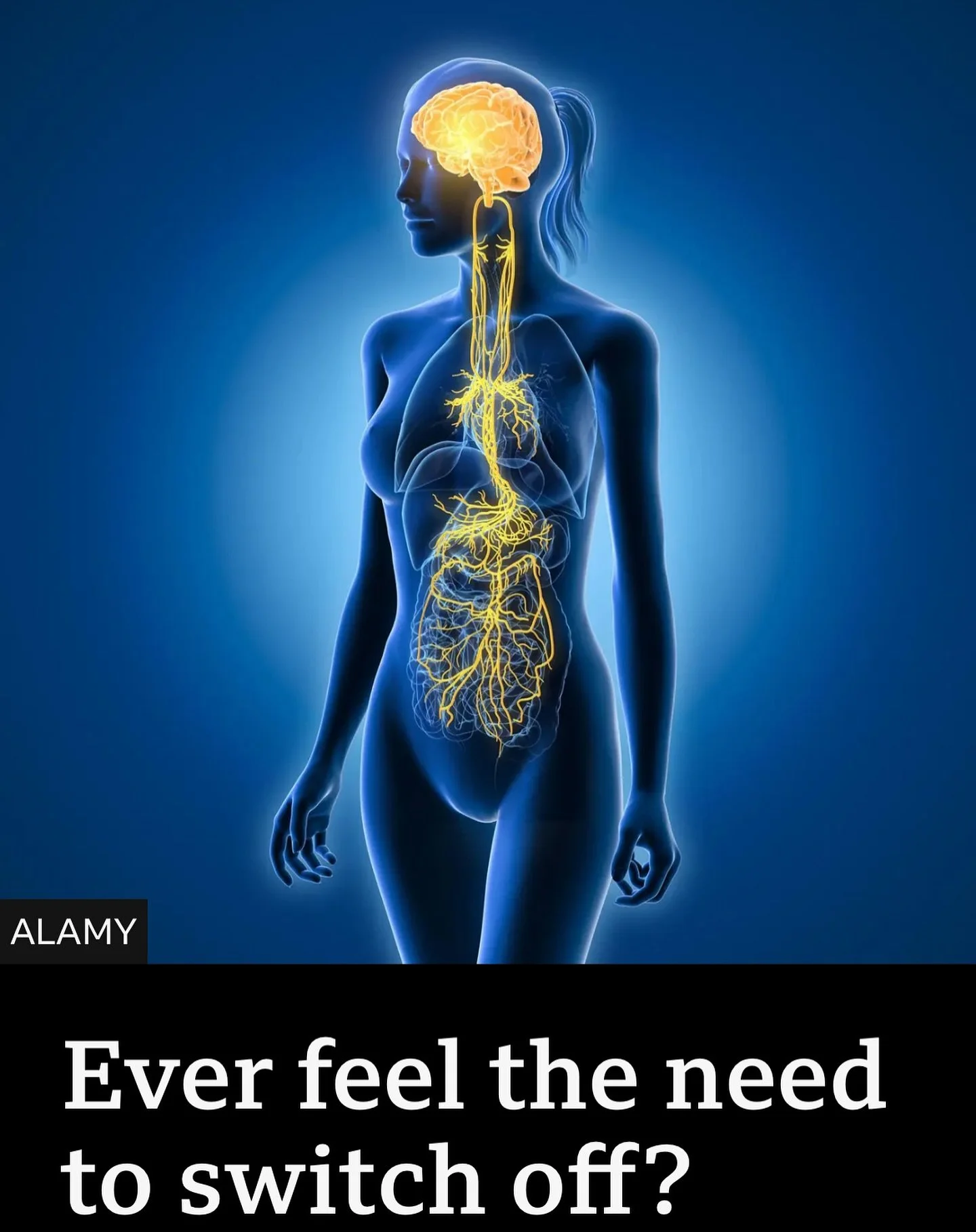 Love this BBC news article which talks about the role of unbalanced nervous system in managing life&rsquo;s stresses that can result in physical pain and mental health issues.  Relax your body and mind or take control of your pain by booking your app