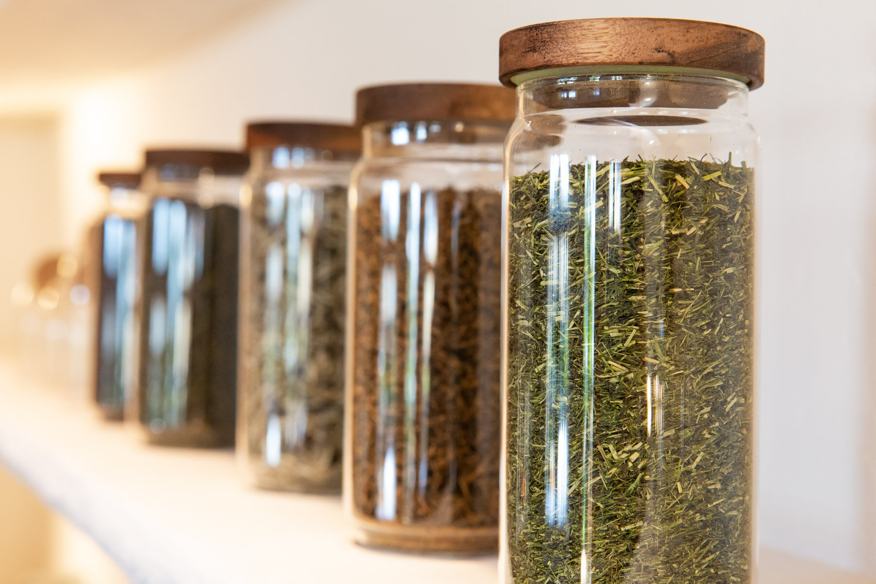 The Medicine — Den Mother