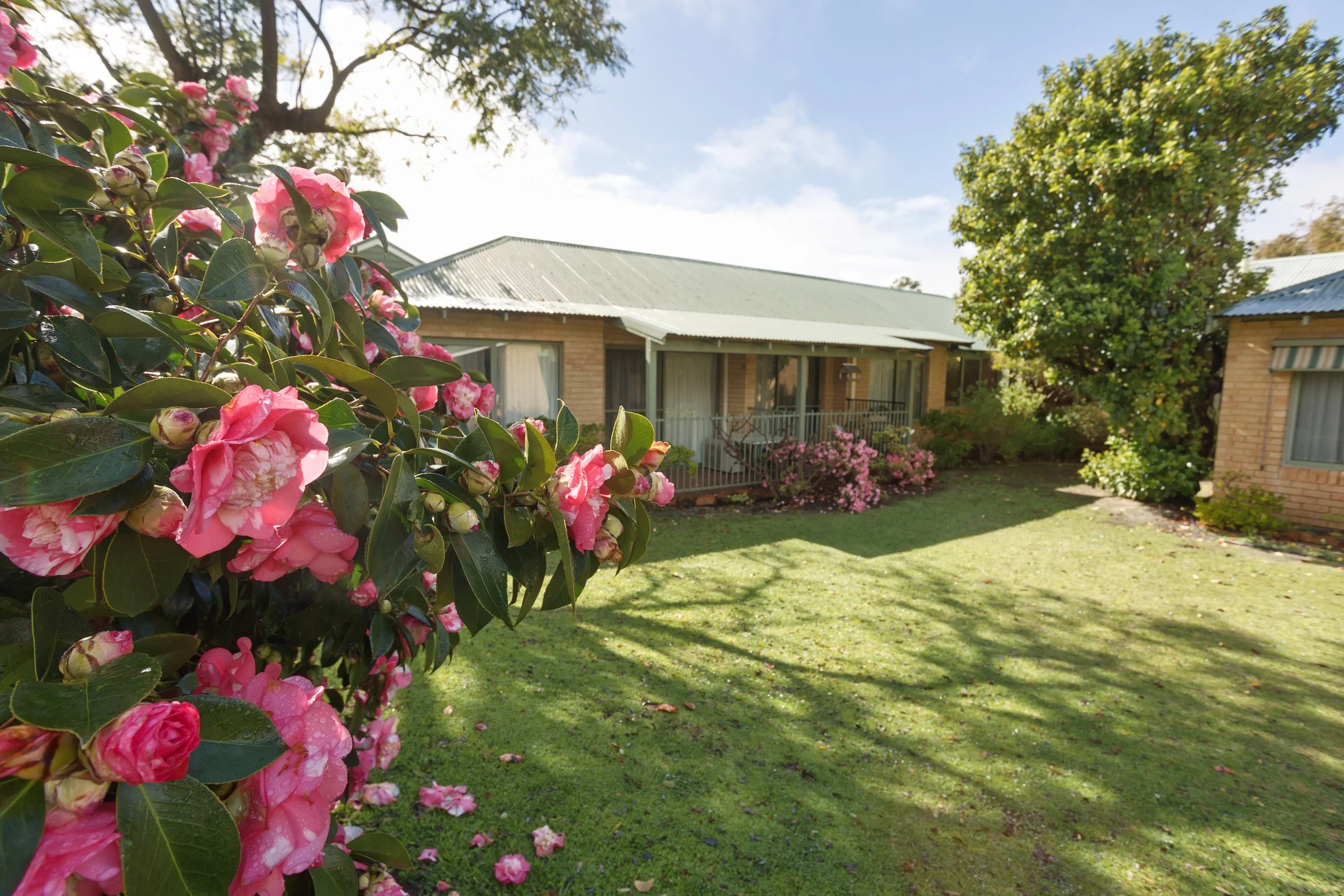 Aged care photos for annual reports perth