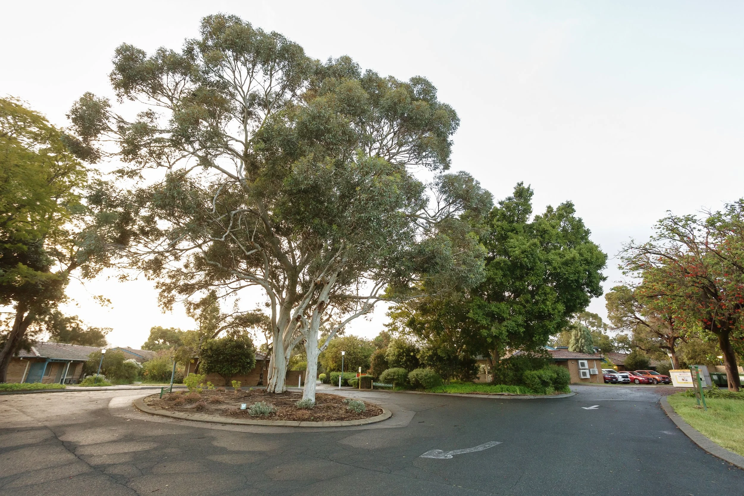 Aged Care Services Photography Perth