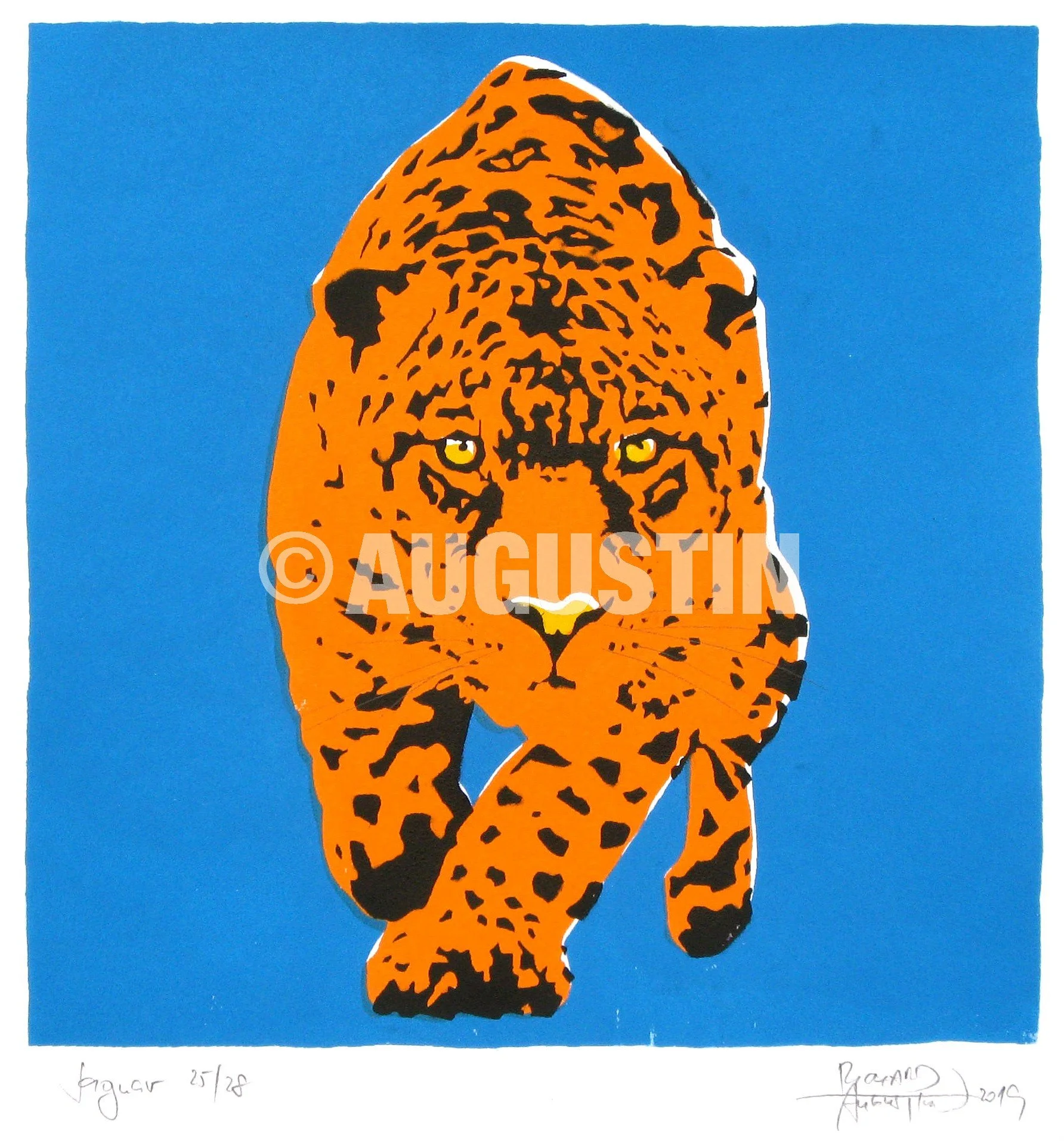 A_Jaguar4_25x25w.jpg