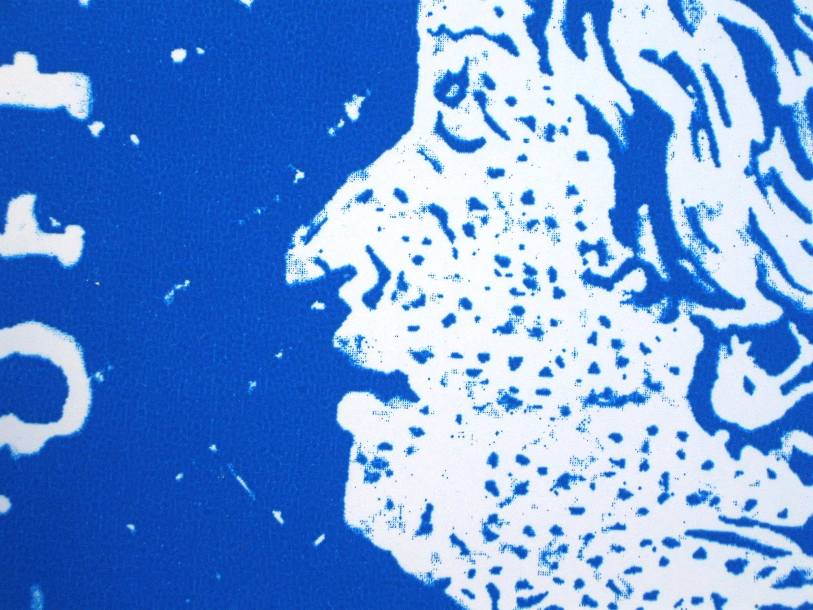 detail1.jpg