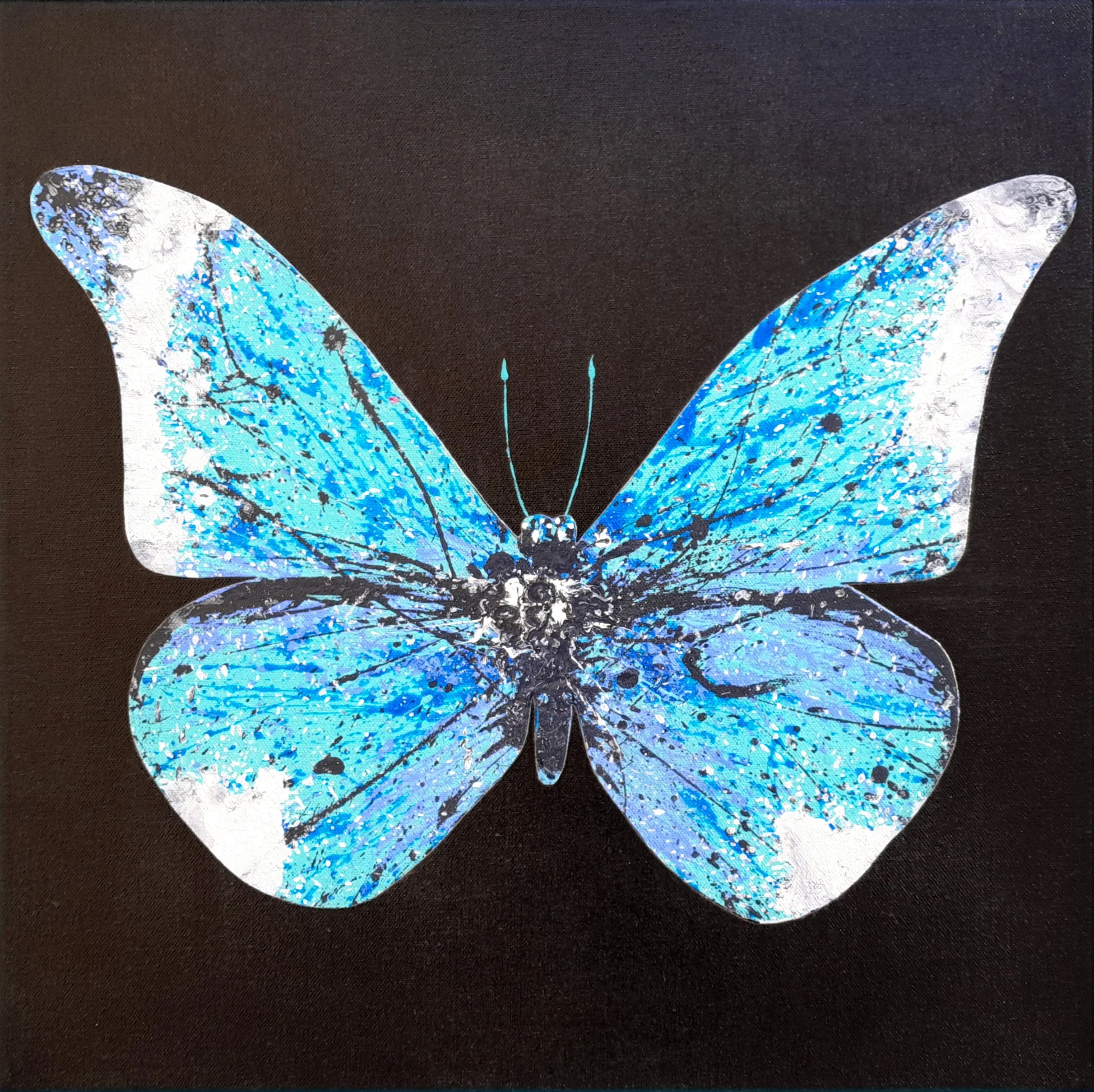 Papilio3-45x45-2024.jpg