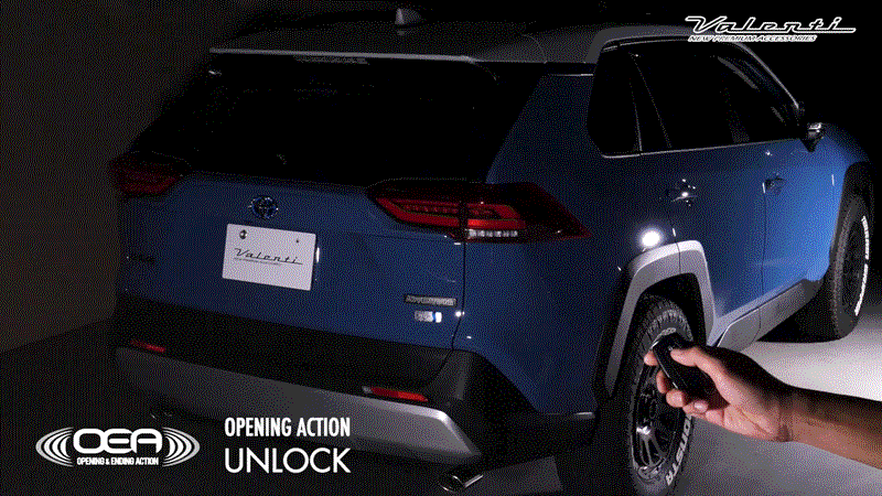 rav4_oea_open.gif