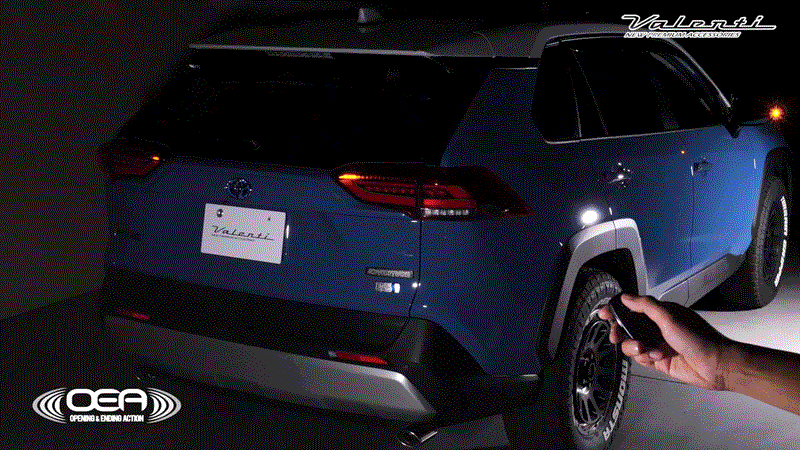 rav4_oea_end.gif