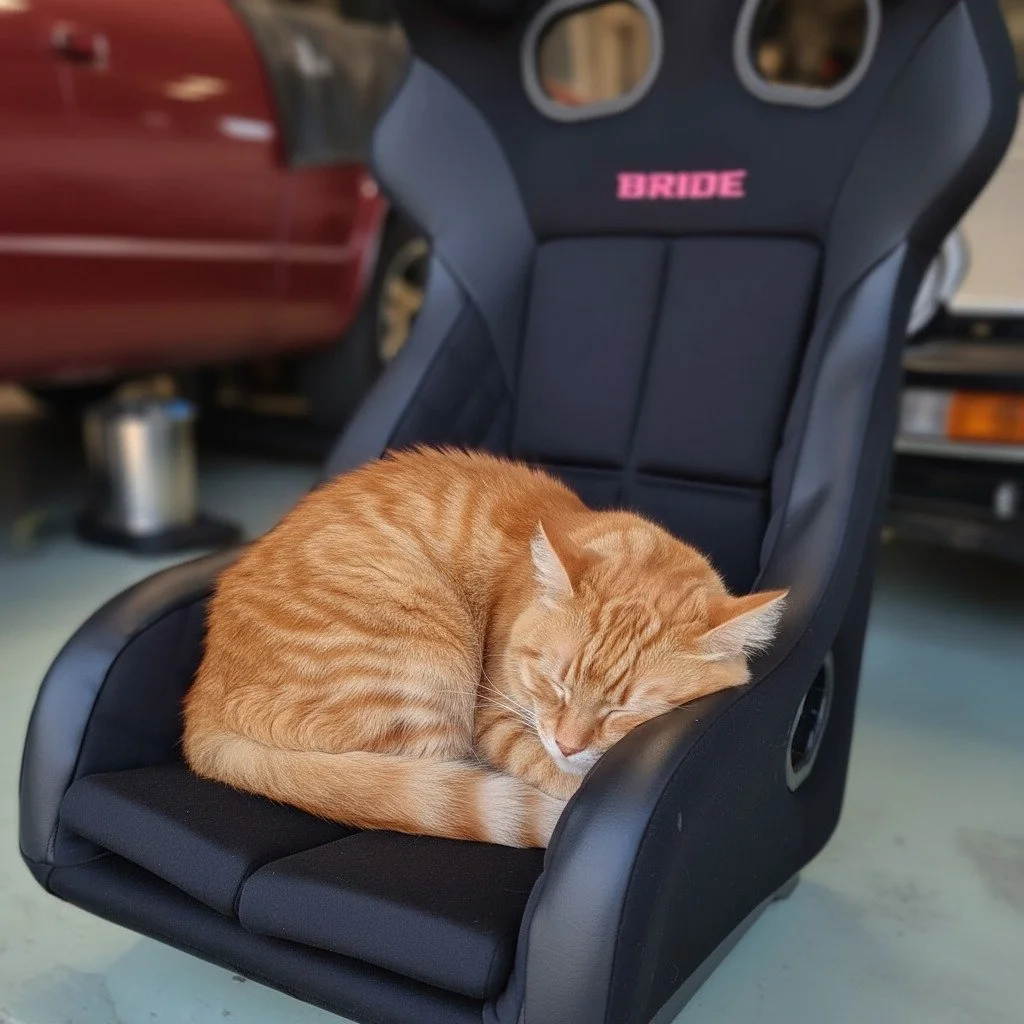 POV: you were gonna install it, but the cat had other plans 😹

The Yashio Factory BRIDE Xero RS proves you can have comfort and performance.

In stock and ready to ship now.