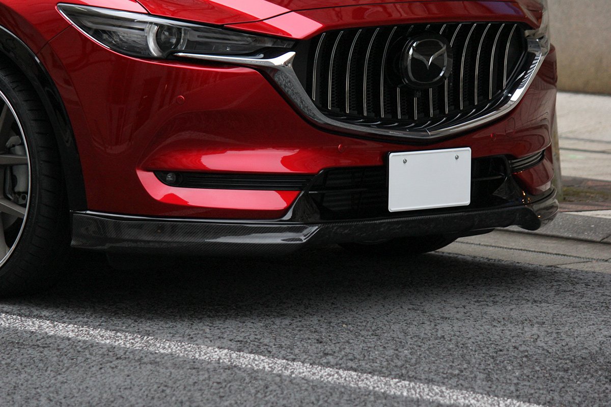 cx8fs002-1.jpg