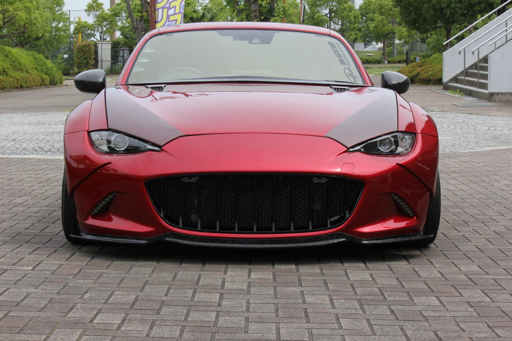 selfish_nd_front_grille.jpg