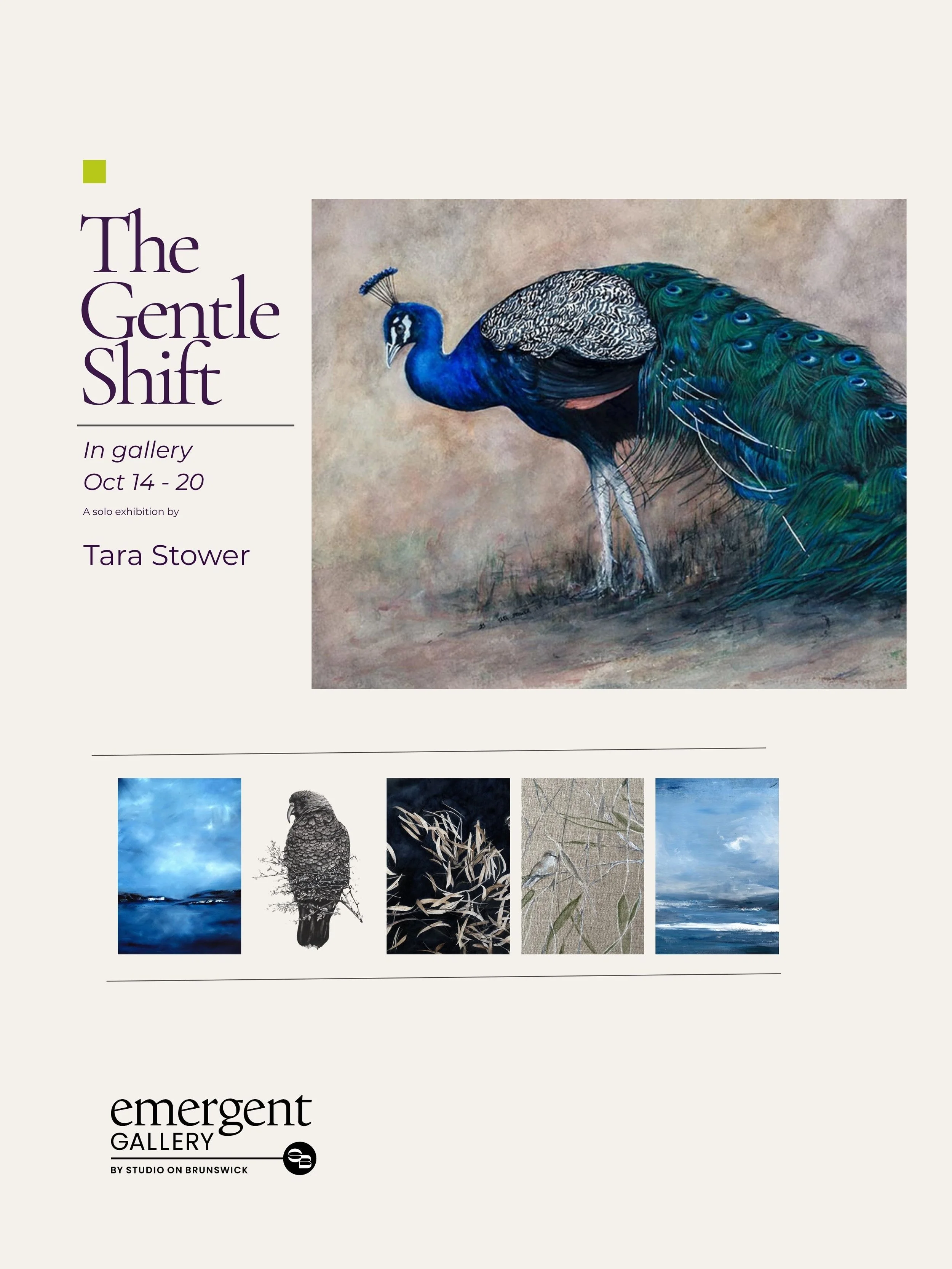 Tara Stower -  The Gentle Shift