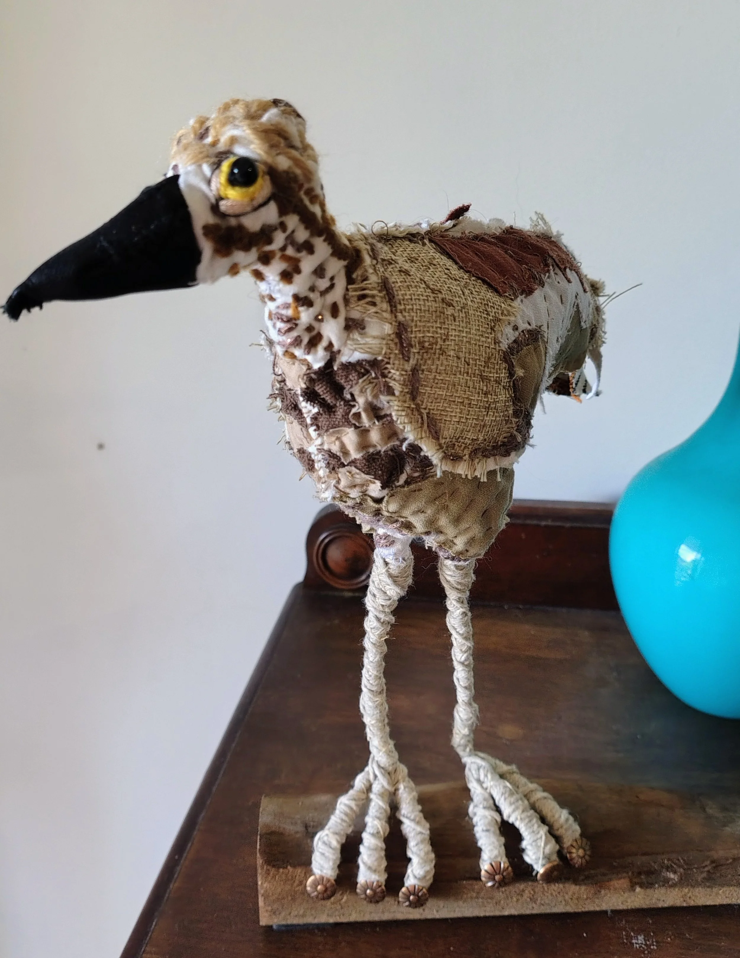 Carla the Curlew