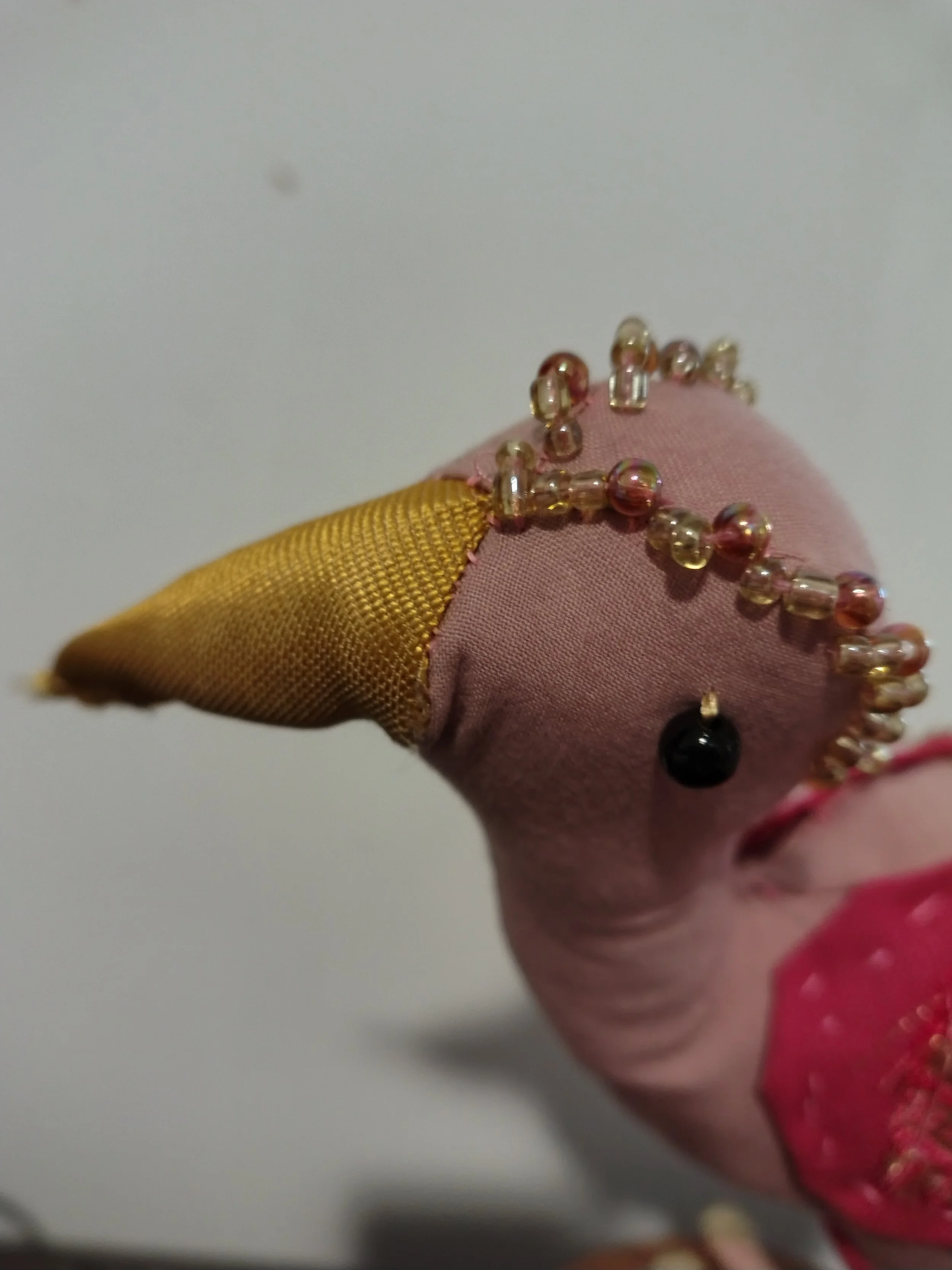 Doreen up close.jpg