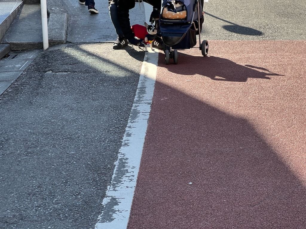 IMG_5362.jpeg