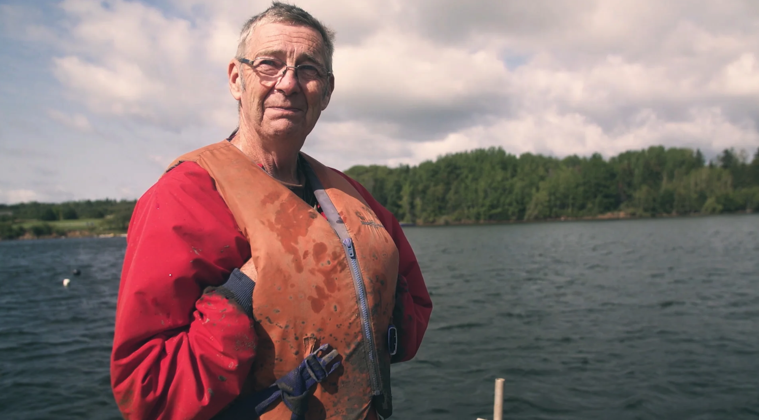 On the Shores of the Bay