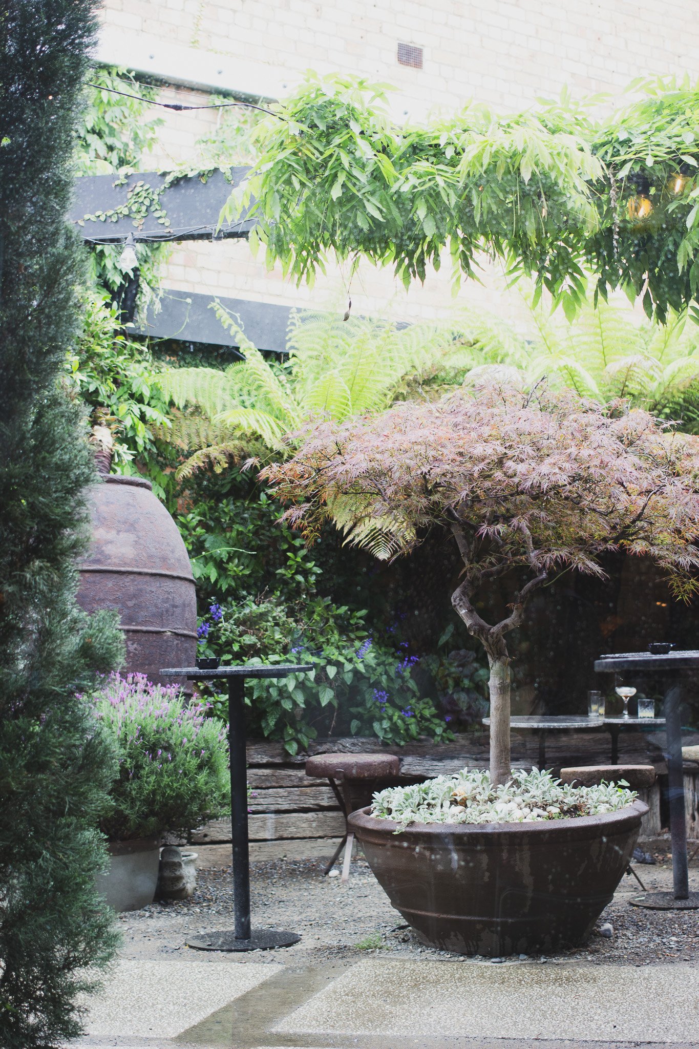 Half Acre garden