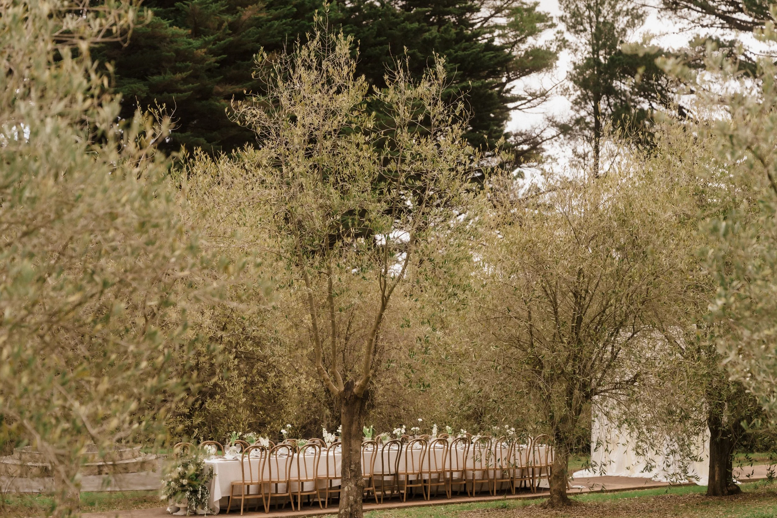 Ever After Effect Greek Church Red Hill