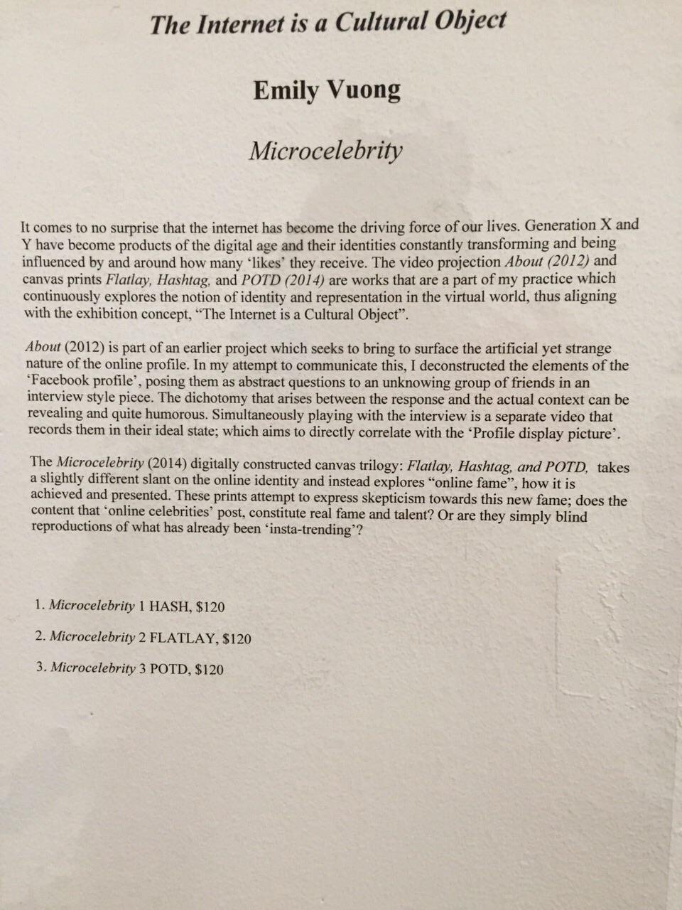 The internet is a cultural object - Brunswick Gallery Exhibition 2014