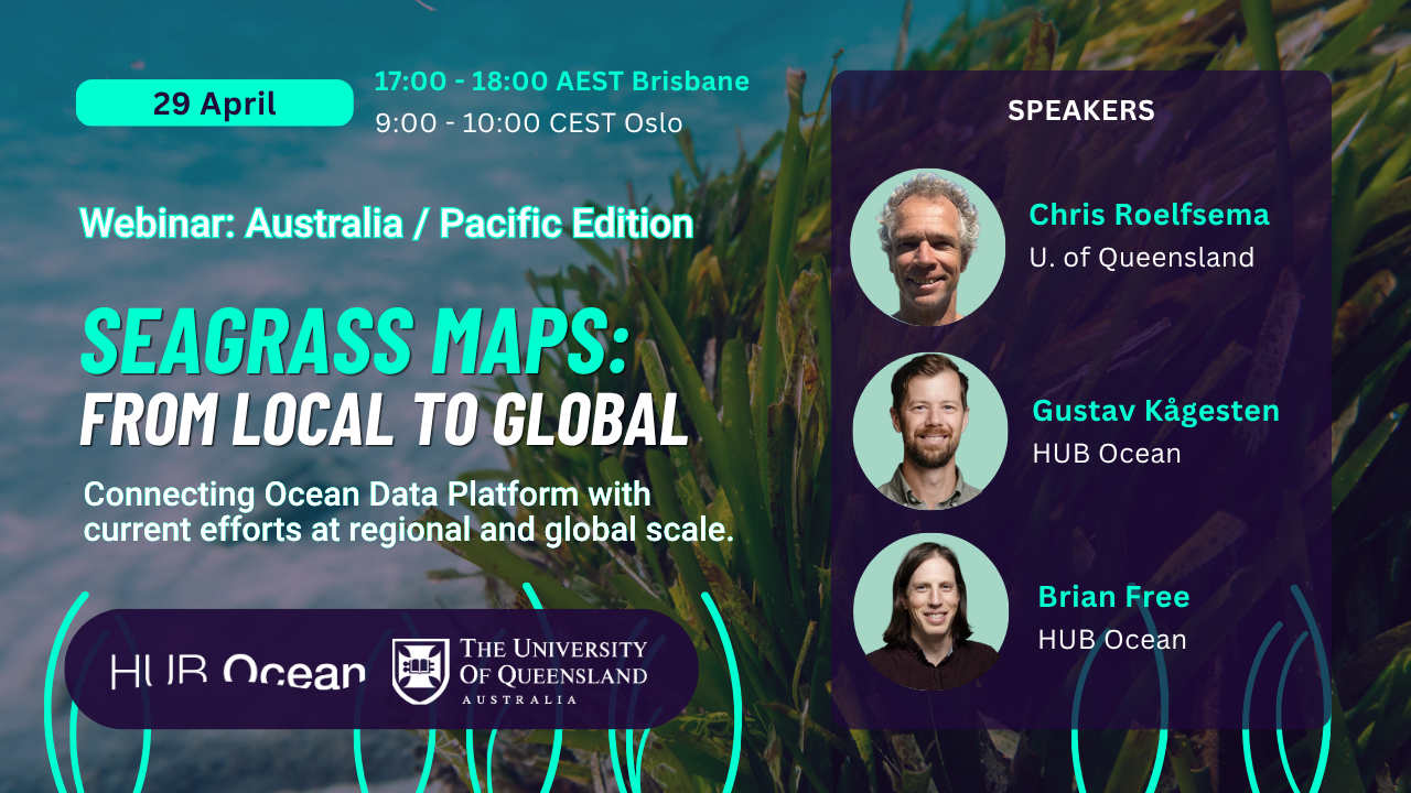 Seagrass Maps - From Local to Global: Connecting Ocean Data Platform with current efforts at regional and global scale