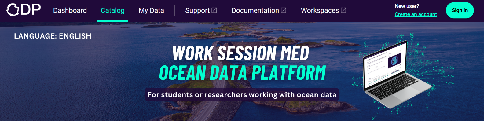 Work session with the Ocean Data Platform (in-person only)