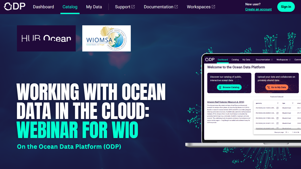 Working with Ocean Data in the Cloud: Webinar for WIO