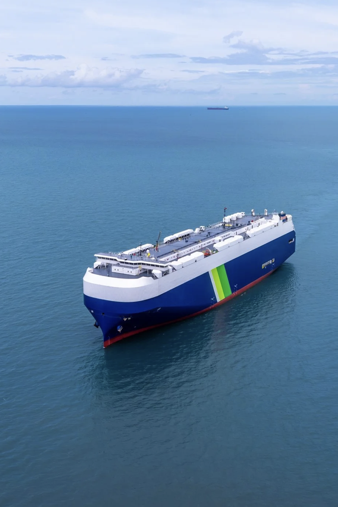 Why the Shipping Industry Started Mapping Whales