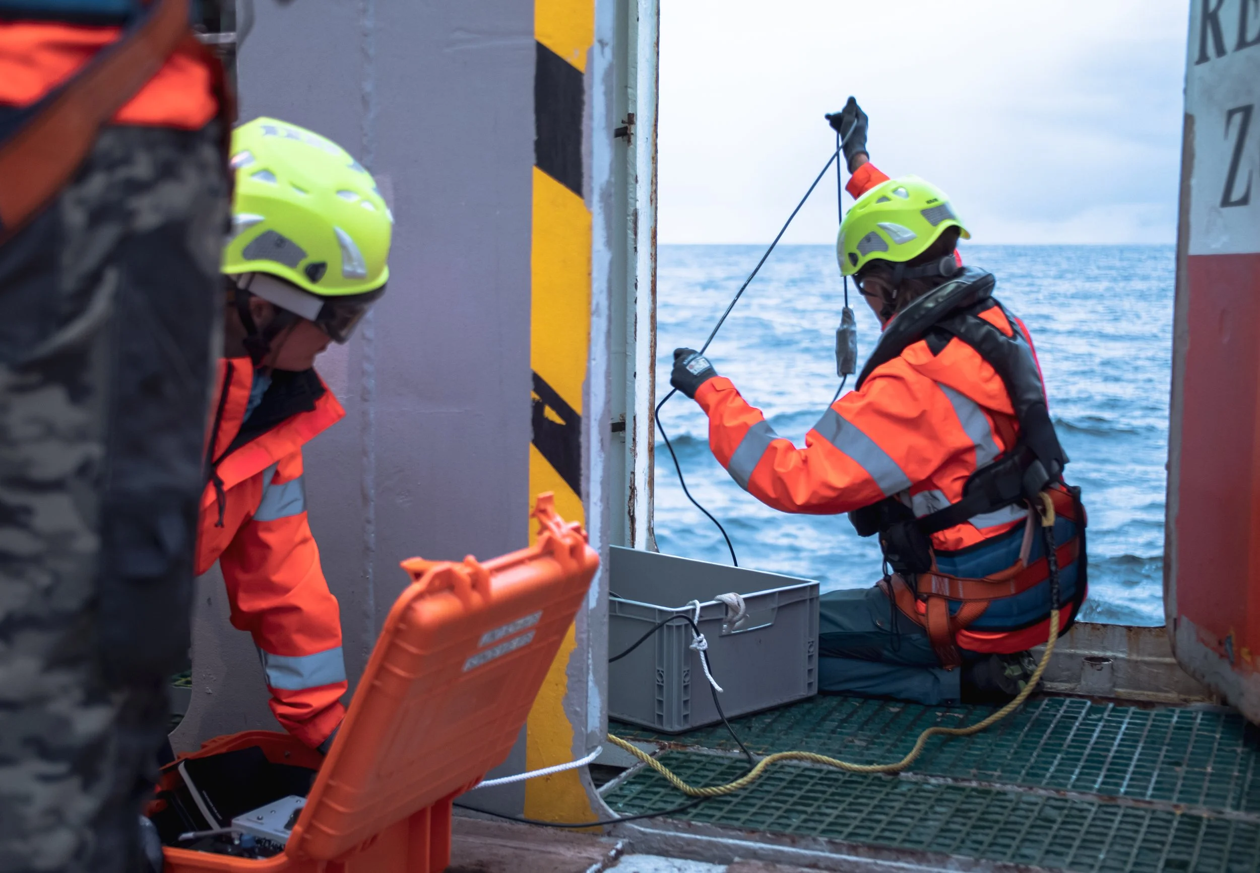 TotalEnergies EP Denmark and HUB Ocean forge alliance to advance nature ...