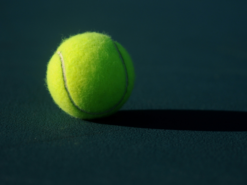 Bellevue | Aktiviteter | Q-living