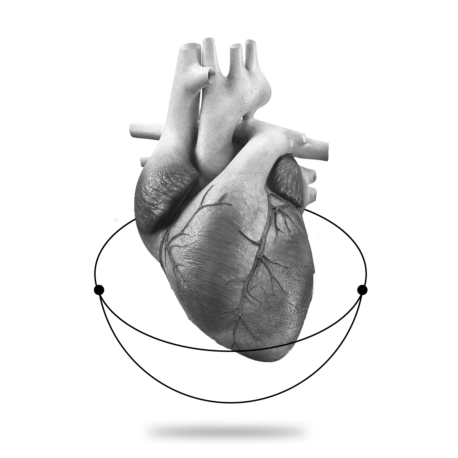 heart.png