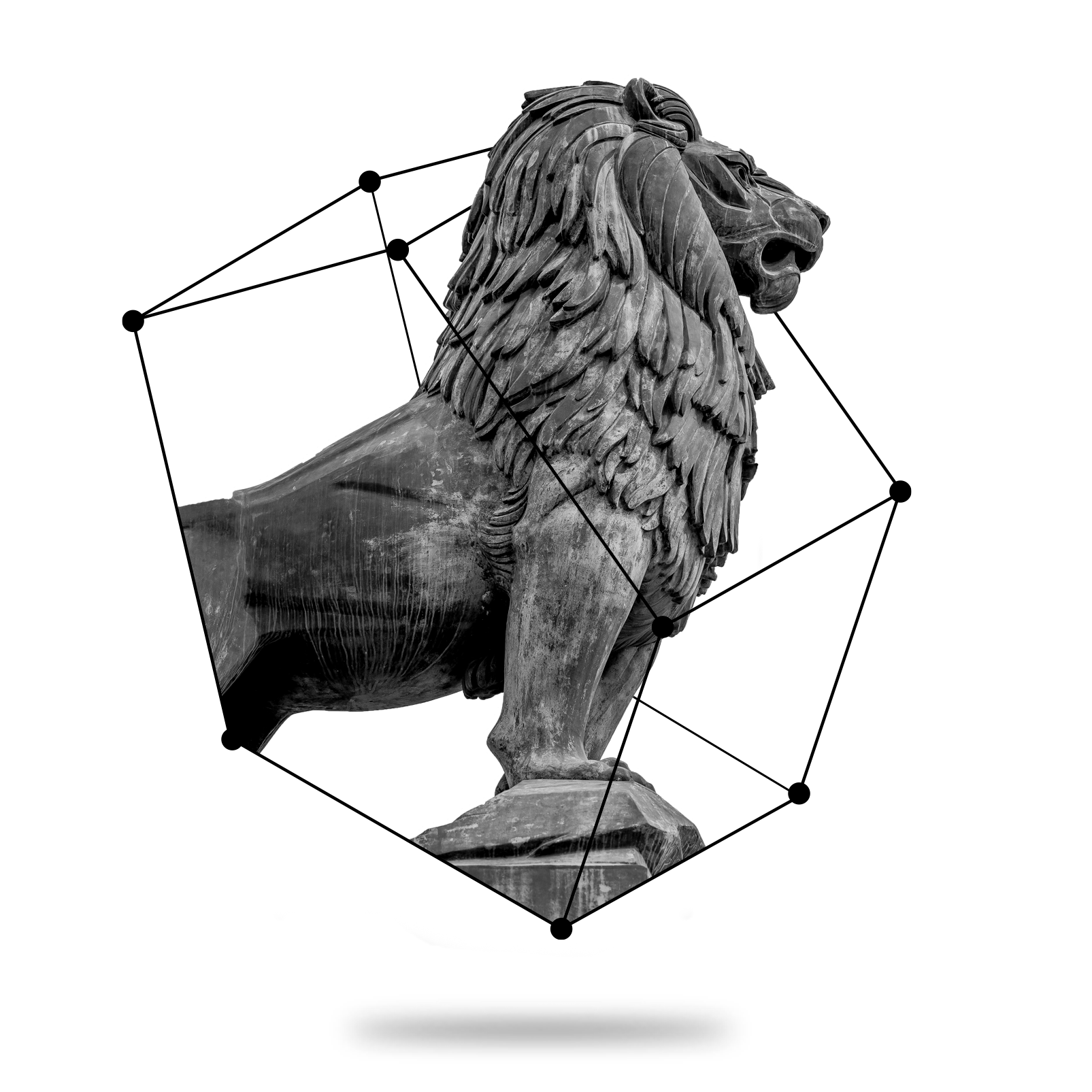 lion.png