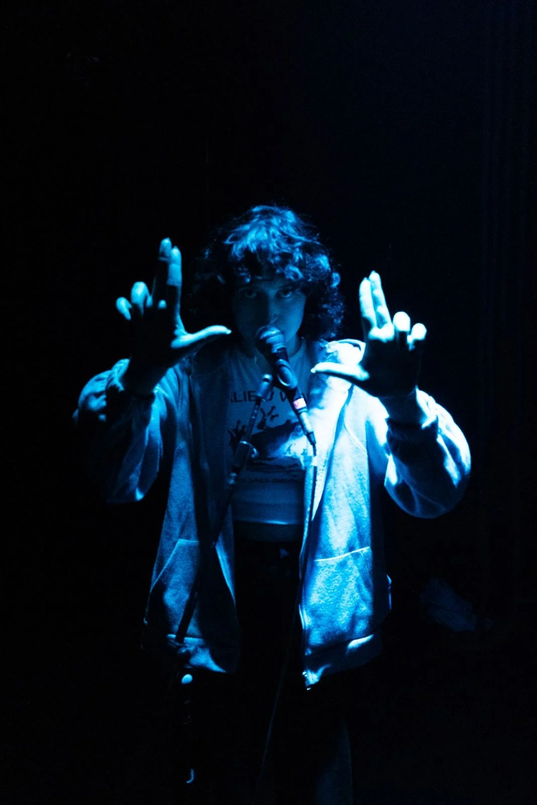 GUIDELINES: New Diorama Theatre