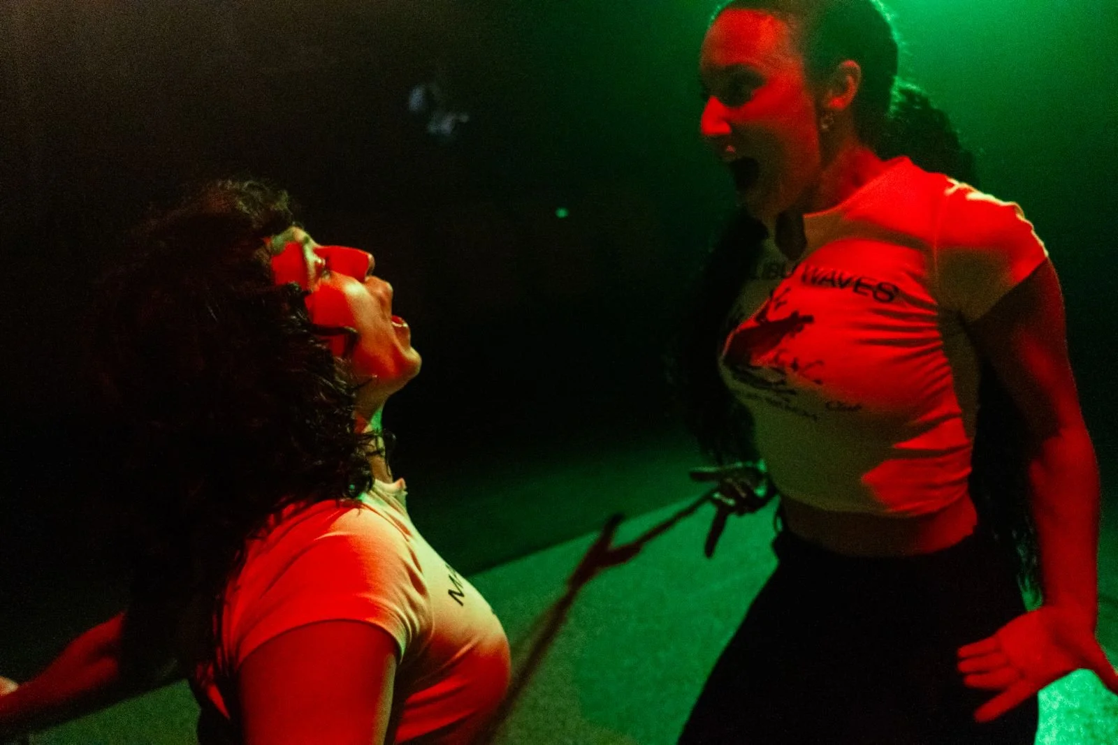 WhatsApp Image 2026-02-06 at 18.49.31.jpeg