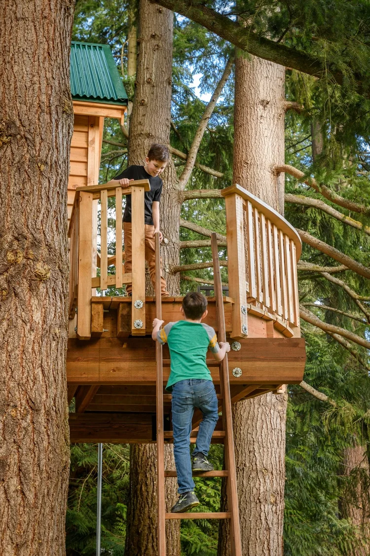 From Conference Calls to Playtime: The Backyard Treehouse Does It All ...