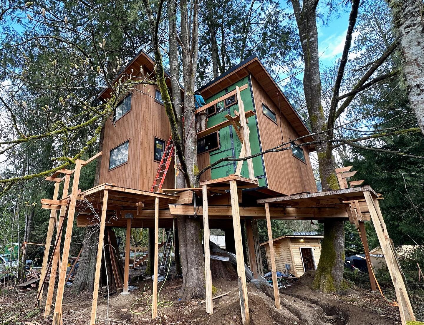 Lots of progress on the @twinleaftreehouse project! 
Cedar siding nearly complete 🪚
Roofing &amp; gutters installed 🌧️
Electrical, plumbing, and HVAC roughed in ⚡️
Ceiling spray-foam insulation in 🥪
Wall blocking complete and ready for batt insula