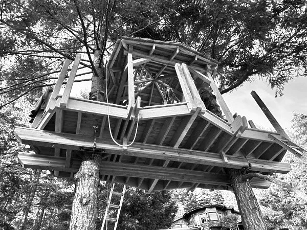 In the trees&hellip; our island treehouse shelter is taking shape. 

#craftsmanship #treehouse #woodwork #handcrafted #handmade #carpentry #designbuild #douglasfir #pnwonderland #evergreenstate #naturalbuilding #shelter #wildtreewoodworks