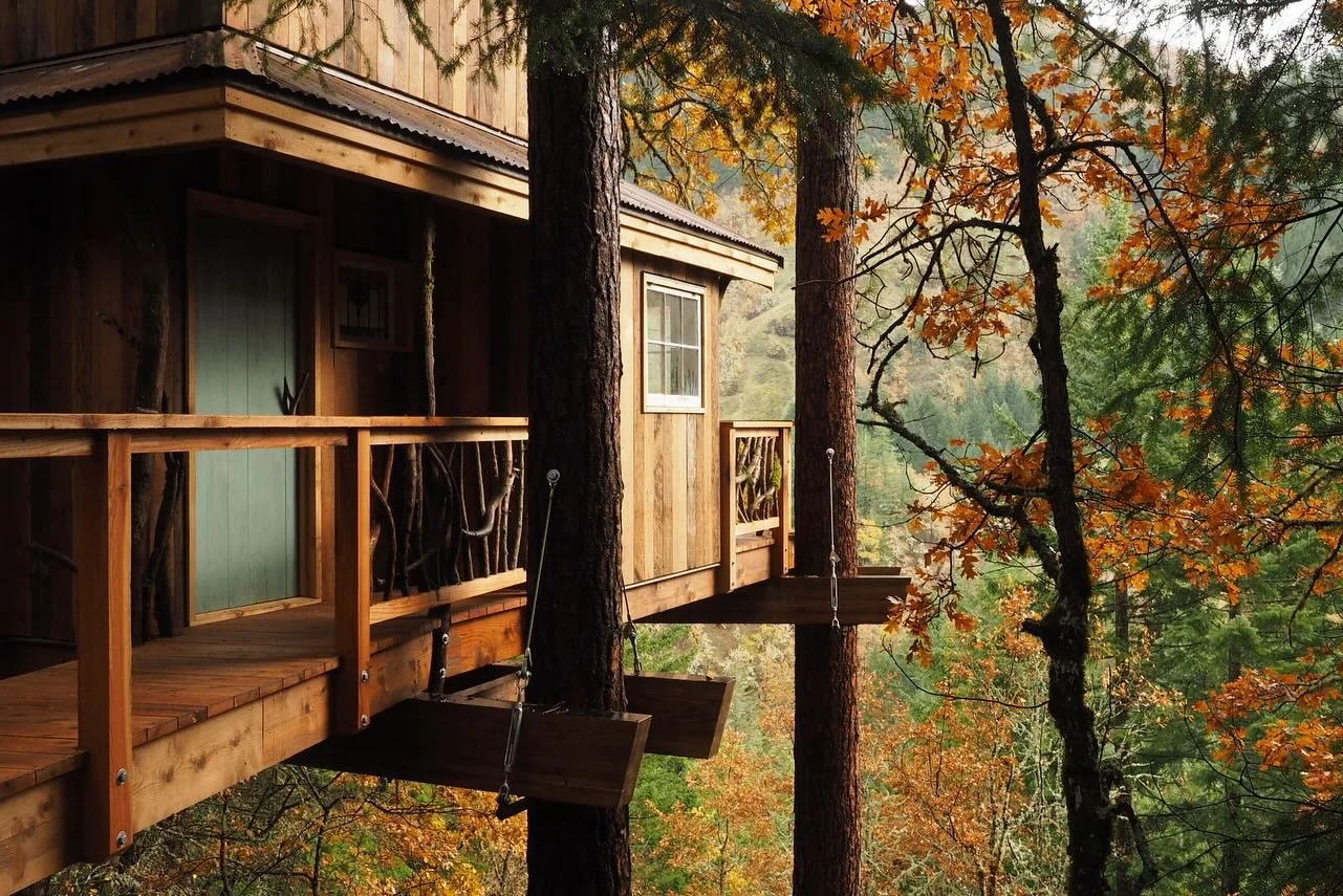 The colors of autumn surround a treehouse we built near White Salmon, Washington. 

This was a unique project in a phenomenal setting. Off-grid and skinned inside and out with reclaimed materials. 

#treehouse #treehouselife #forestlife #intothewoods