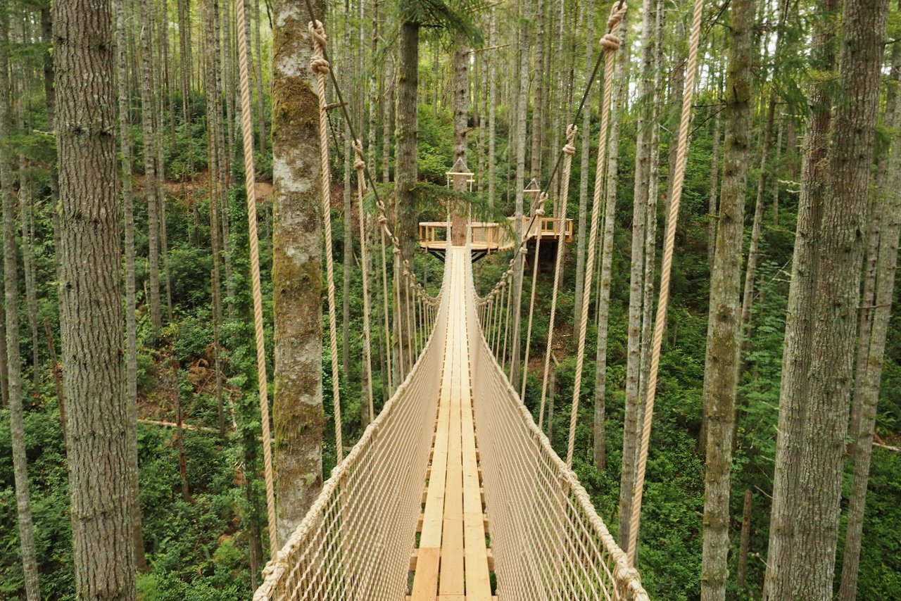 Gallagher.website - 2.jpeg