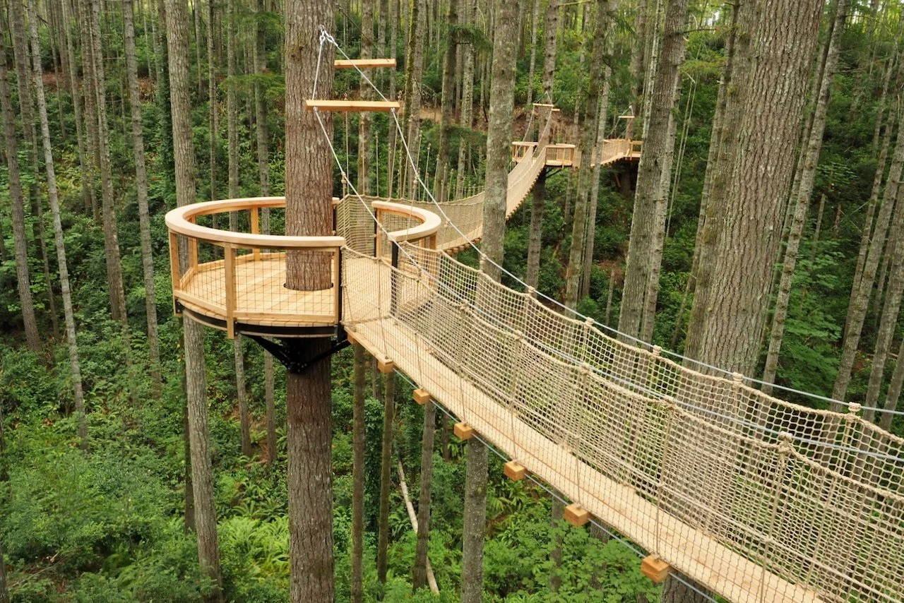 Gallagher.website - 1.jpeg