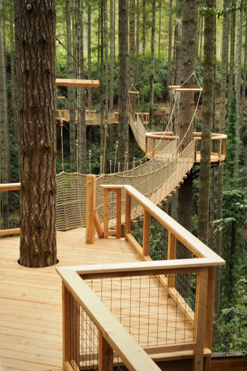 Gallagher.website - 3.jpeg