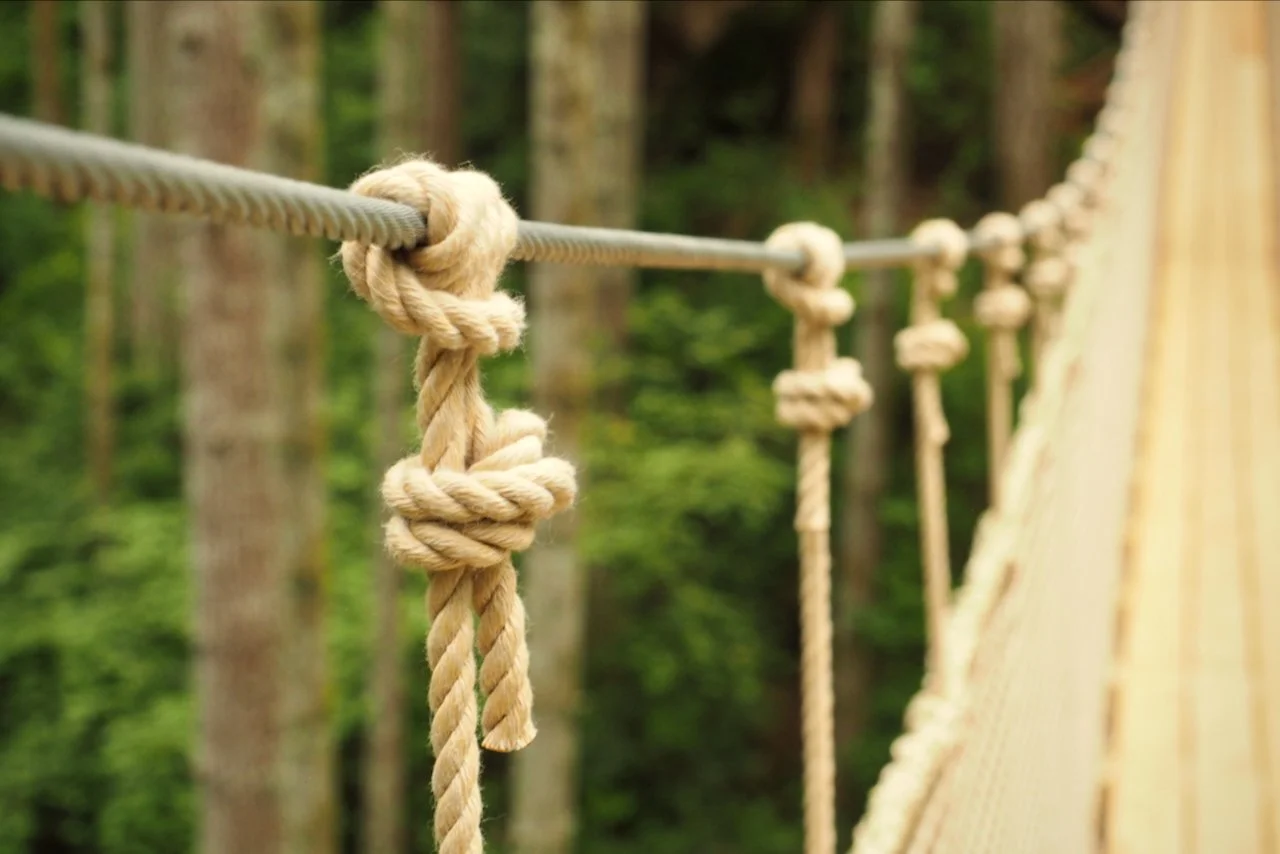 Gallagher.website - 6.jpeg