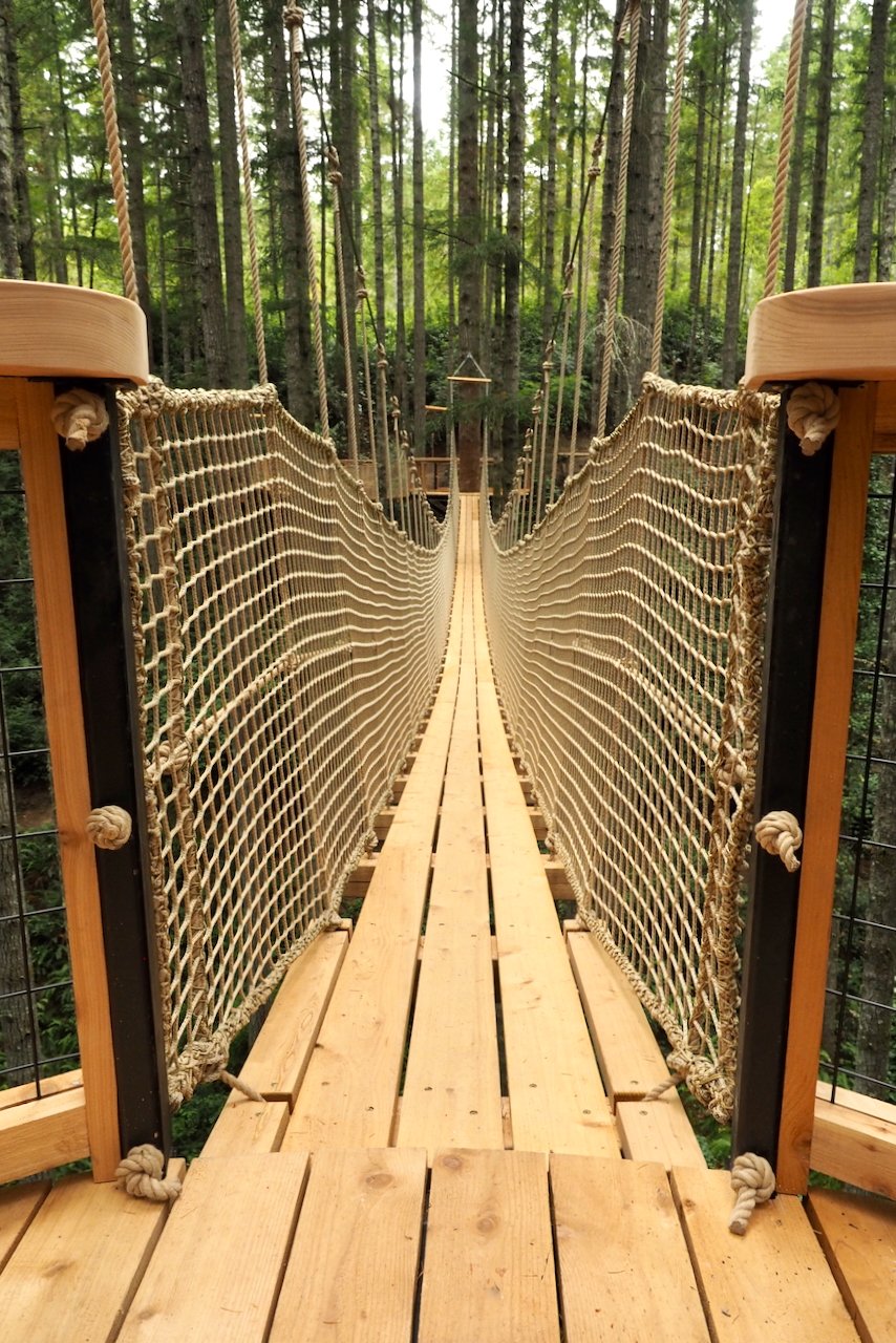 Gallagher.website - 8.jpeg